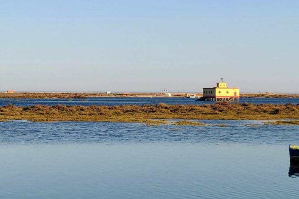 Casa Pombalinho, An Old Fisherman Cottage フゼタ エクステリア 写真