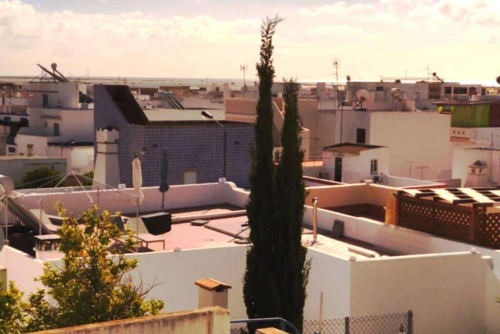 Casa Pombalinho, An Old Fisherman Cottage フゼタ エクステリア 写真