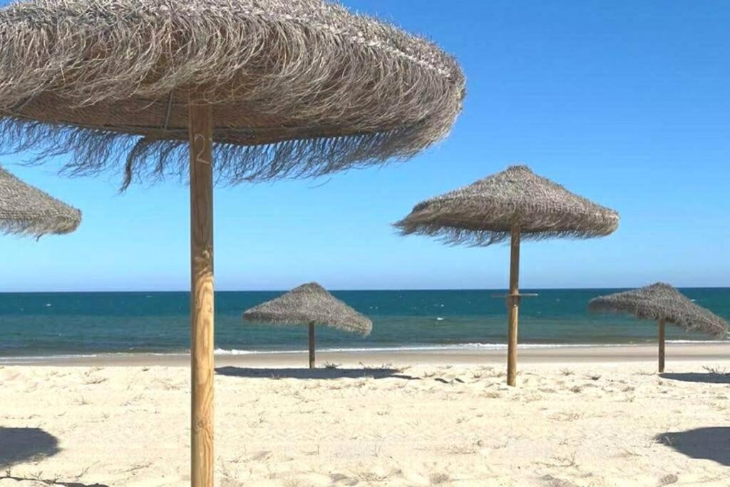 Casa Pombalinho, An Old Fisherman Cottage フゼタ エクステリア 写真